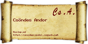 Csöndes Andor névjegykártya